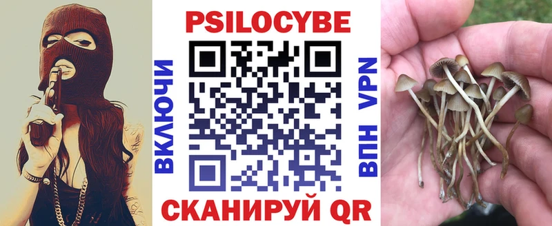Галлюциногенные грибы мухоморы  купить наркоту  Дигора 